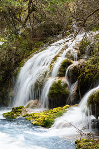 Scenic view of waterfall in forest