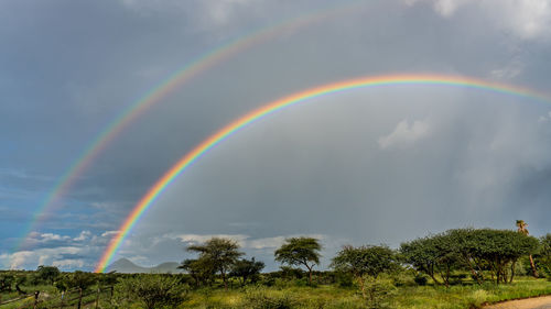 Scenic view of rainbow against sky