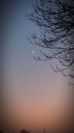 Low angle view of silhouette tree against sky during sunset