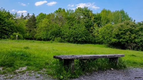 Empty bench by trees on field in forest against sky