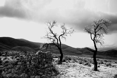 Bare trees on landscape against sky