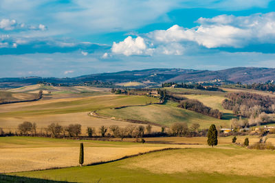 Scenic view of agricultural field against sky