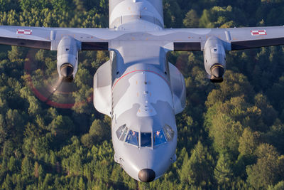 Close-up of airplane flying above trees