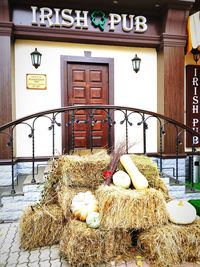 Low angle view of hay in building