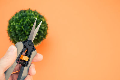 Close-up of hand holding plant against orange background