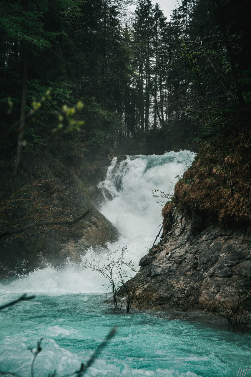 VIEW OF WATERFALL IN FOREST