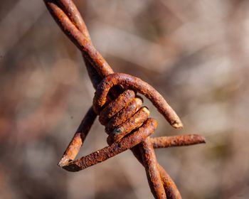 Close-up of rusty metal barbed wire