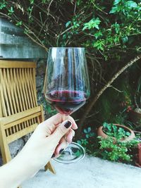 Cropped hand of woman holding red wine in wineglass against plants