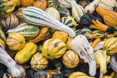 Full frame shot of pumpkins at market