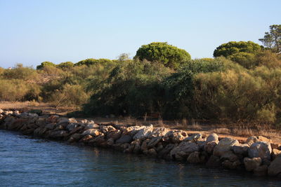 Flock of sheep on rock against sky