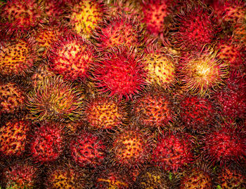 High angle view of berries in market