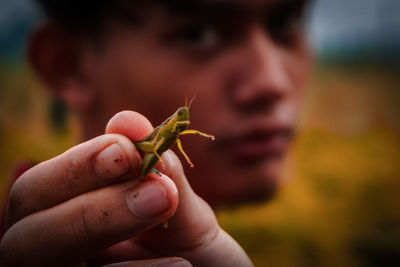 Close-up of hand holding leaf