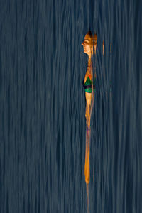 Mature woman floating on sea