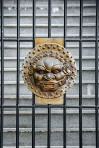 Close-up of cat on metal door