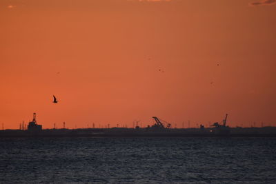 Silhouette birds flying over sea against orange sky