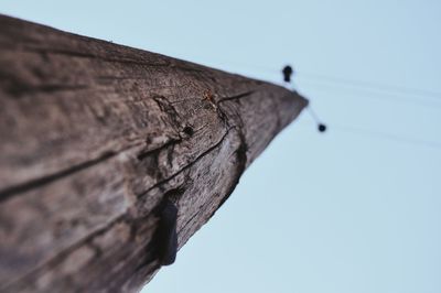 Low angle view of wood against clear sky