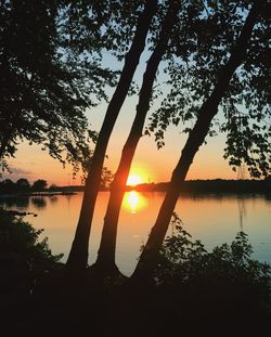 Silhouette trees by lake against sky during sunset