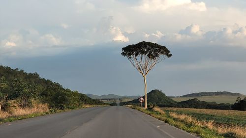 Road by trees on landscape against sky