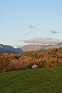 View of a field on mountain