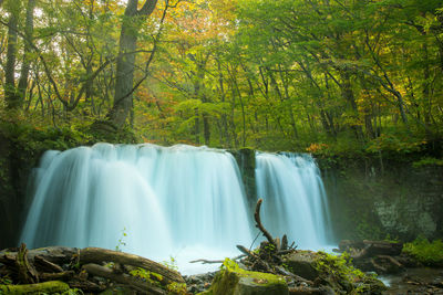 Scenic view of waterfall in forest