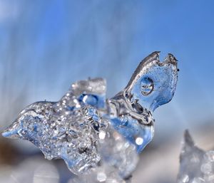 Close-up of ice crystals against blue sky