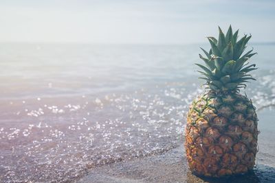 Close-up of fruit on beach against sky