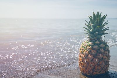 Pineapple on beach