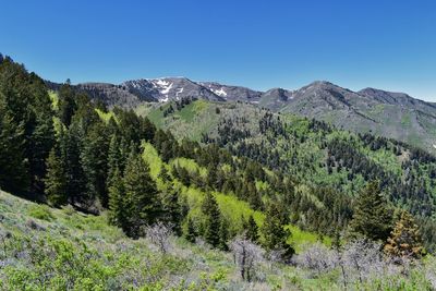 Scenic view of mountains against clear blue sky