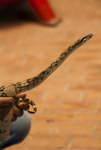 Close-up of hand holding wood