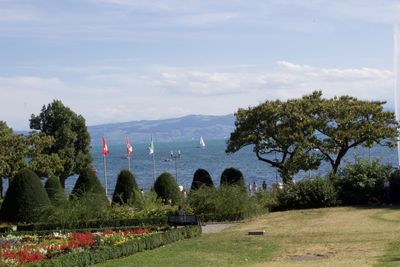 Scenic view of landscape against sky