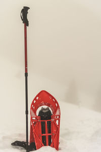 Red shoe and hiking pole in snow