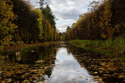 Scenic view of river amidst trees against sky