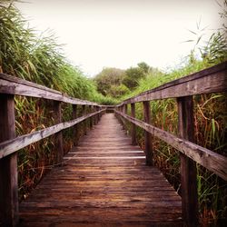 Footbridge over wooden walkway