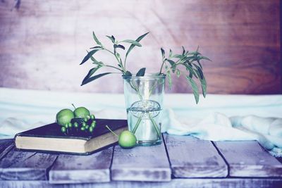 Plant in drinking glass by book and fruits on wooden planks