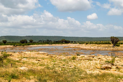 Galana river, tsavo east national park, kenya, east africa, africa