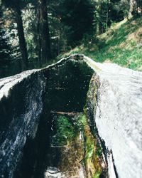 Close-up of waterfall in forest