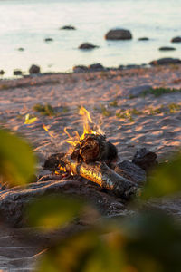 Bonfire in the sand on a beach 