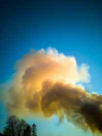 Low angle view of tree against sky during sunset