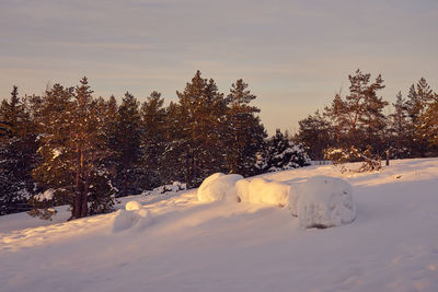 Snow covered field against sky during sunset