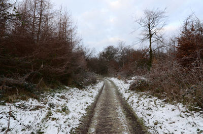 Road amidst bare trees during winter