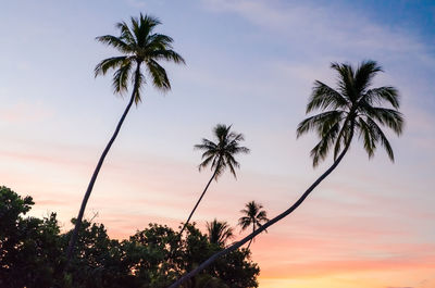 Low angle view of silhouette palm trees against romantic sky