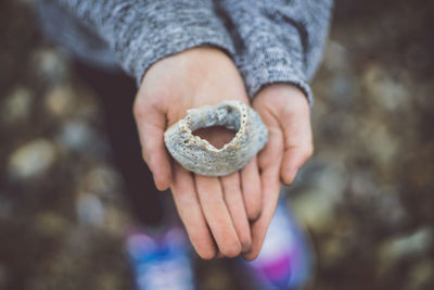 Close-up of hand holding shell