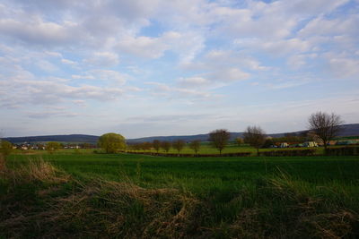 Scenic view of field against sky