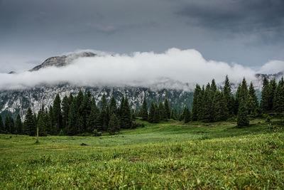 Scenic view of landscape against sky