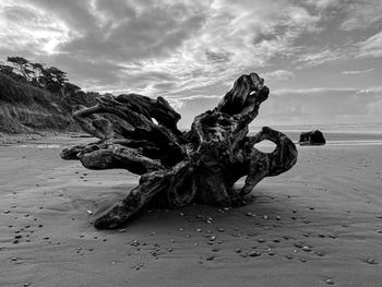 Scenic view of sea against sky with dead tree