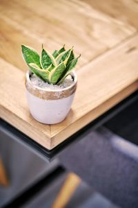 High angle view of drink on table