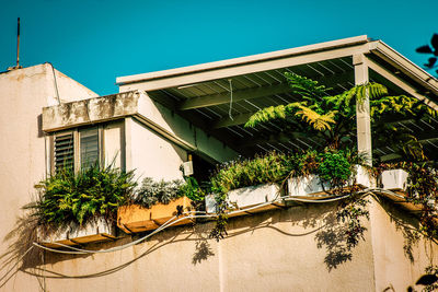 Low angle view of plants by building against clear sky