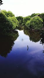 Birds swimming in water against sky