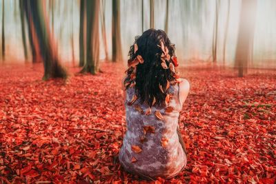 Rear view of woman sitting on red leaves in park during autumn