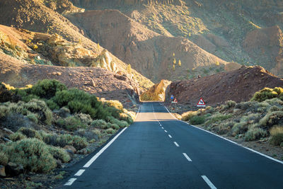 Road amidst trees and mountains